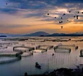 凉山伴游中国网景点丰富(旅游网介绍)