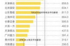 凉山关于伴游小丽中国足球的信息