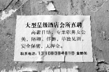 凉山珠海伴游雇用网(珠海游览社雇用信息)