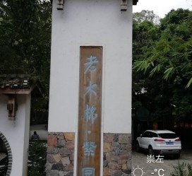 凉山关于伴游中国伴游你们伴得是什么游的信息