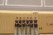 凉山杭州模特礼节兼职群(杭州兼职商务模特经纪人微信)