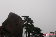 凉山上海伴游私家陪游雇用女模(上海伴游私家陪游雇用女模特)