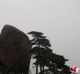 凉山上海伴游私家陪游雇用女模(上海伴游私家陪游雇用女模特)