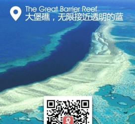 凉山中国250家旅行社结伴游新西兰(新西兰当地旅行社)