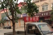 凉山上海伴游 用伴游造句大全(5