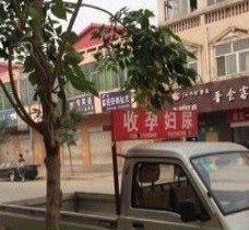 凉山上海伴游 用伴游造句大全(5