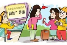 凉山伴游是什么