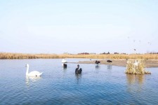 凉山南昌附近伴游小妹兼职(1534939978姐的微信德惠市)
