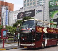 凉山上海私人伴游 上海过年怎么玩？这些“微游”线路了解下→