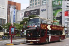 凉山上海私人伴游 上海过年怎么玩？这些“微游”线路了解下→