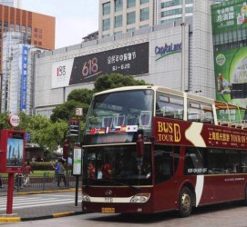 凉山上海私人伴游 上海过年怎么玩？这些“微游”线路了解下→
