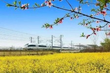 凉山高铁游(高铁游戏下载手机版)