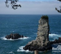 凉山旅游全攻略(上海旅游全攻略)