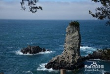 凉山旅游全攻略(上海旅游全攻略)
