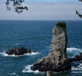凉山旅游全攻略(上海旅游全攻略)