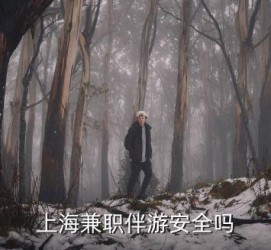 凉山上海私人伴游 上海伴游，上海兼职伴游安全吗