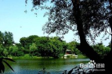 凉山西湖旅游攻略(上海到杭州西湖旅游攻略)