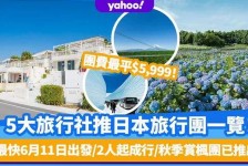 凉山旅游价格(旅游价格机制)