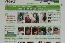凉山home伴游中国(zarahome乳胶枕)