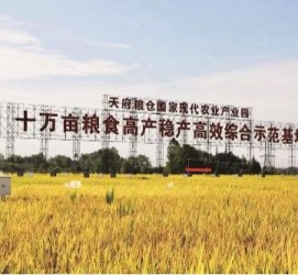 凉山关于成都商务伴游外围雇用的信息