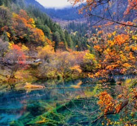 凉山四川旅游攻略(四川旅游攻略十五日游)