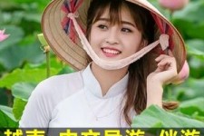 凉山日本关东伴游中国(日本关西旅行)