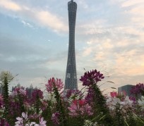 凉山广州旅游攻略(杭州到广州旅游攻略)