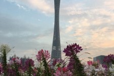 凉山广州旅游攻略(杭州到广州旅游攻略)