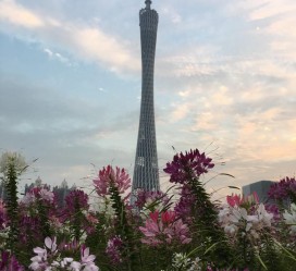 凉山广州旅游攻略(杭州到广州旅游攻略)