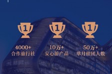 凉山上海私人伴游 ​ “小而美”的新时代：2020年国内新跟团消费报告
