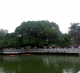 凉山福州旅游攻略(福州旅游攻略二日游)