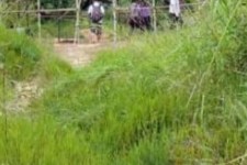 凉山苍溪学生做伴游兼职(苍溪学生做伴游兼职怎么样)