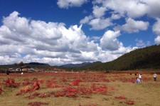 凉山旅游去处(暑期最好的旅游去处)