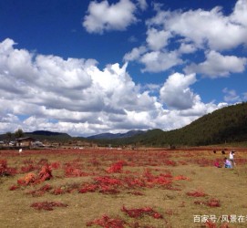 凉山旅游去处(暑期最好的旅游去处)