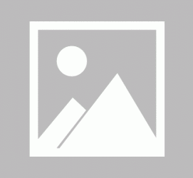 凉山私人伴游 黄金周里动“黄”经 天津又现“私人陪游”逆流